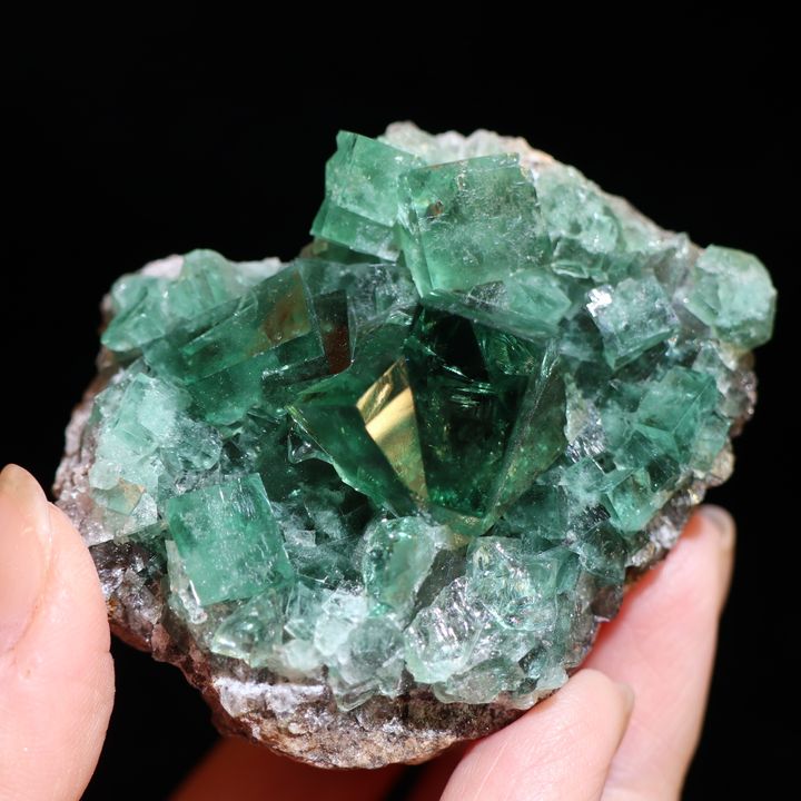IMG_4051