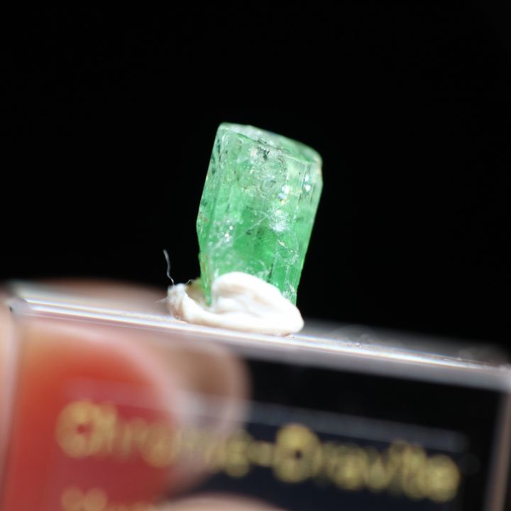 IMG_4151