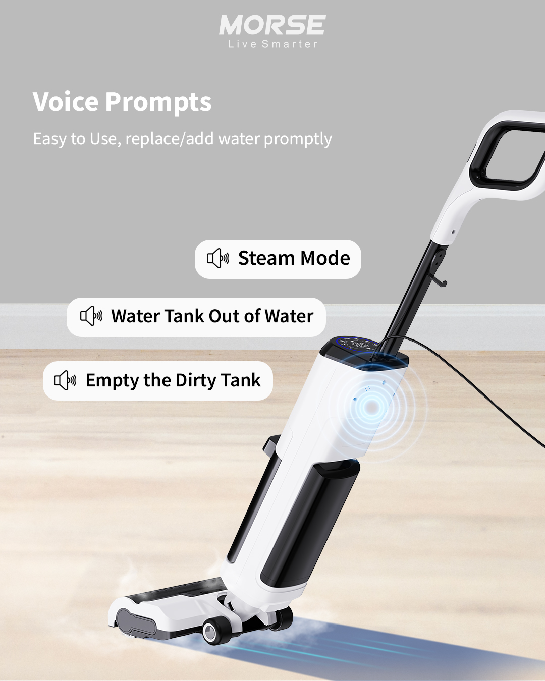 voice