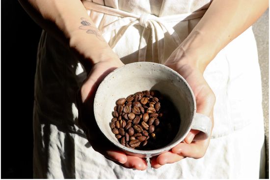 Free Shipping  | 幻猻家珈琲 Pallas Cafe