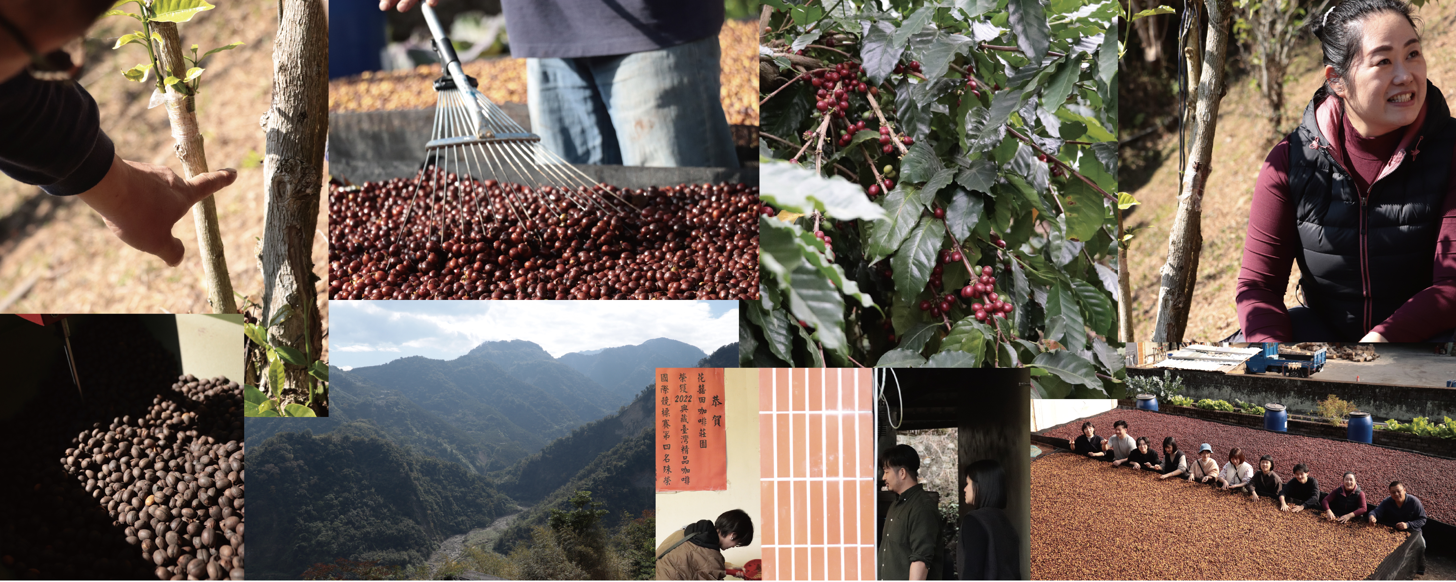 2026 花囍田後製小記