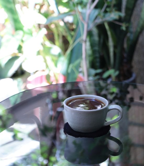 新豆上線 | 幻猻家珈琲 Pallas Cafe