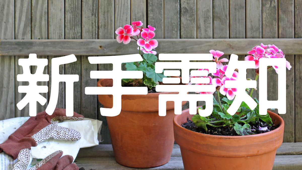 新手種植須知 種植六大要素 看完再開始種植物!
