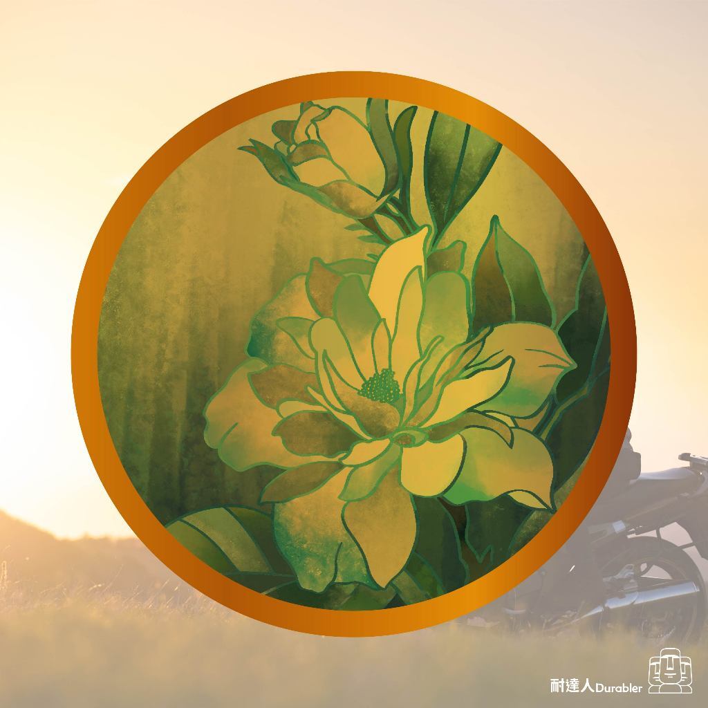 tw-11134207-7r98r-lq38ppdot6fsbb