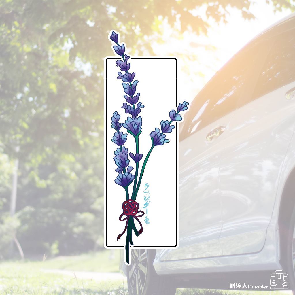 tw-11134207-7r98q-lo54kcb5s6de6b