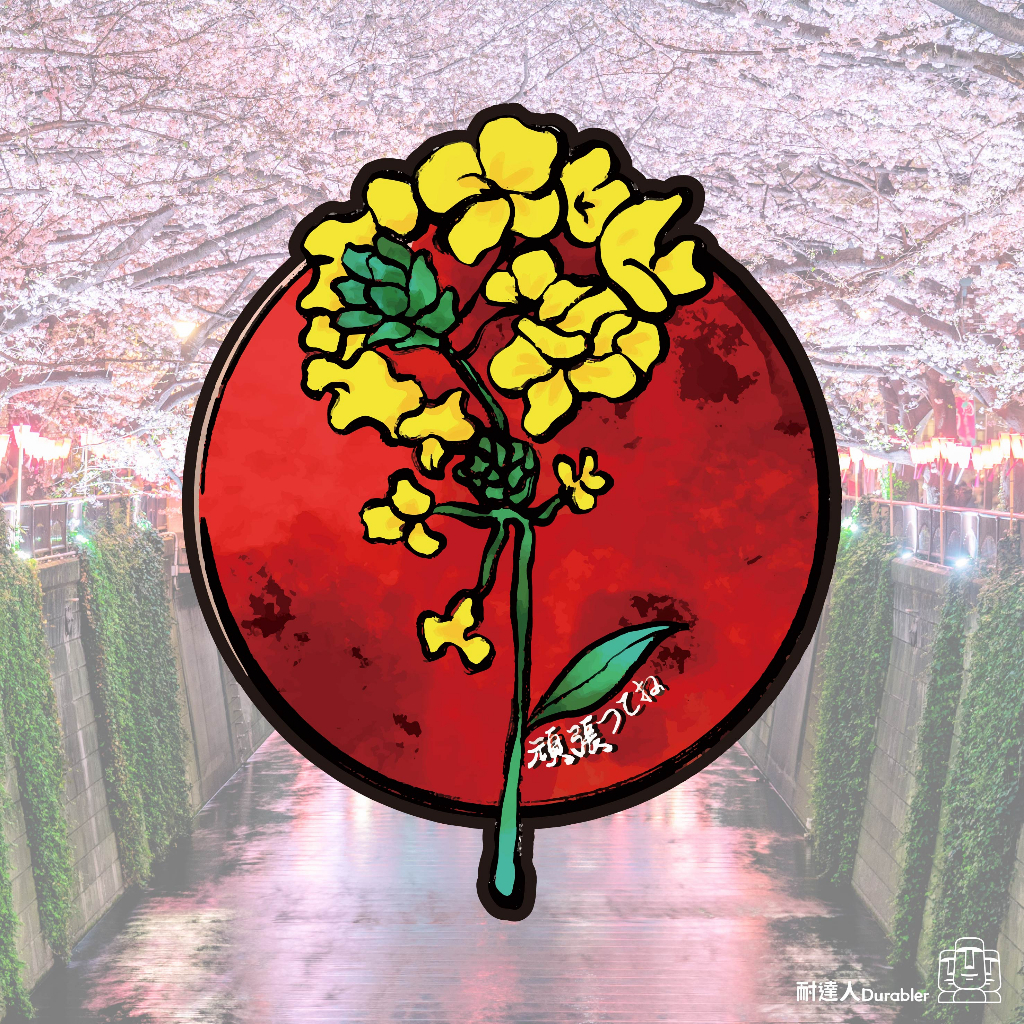 tw-11134207-23020-apjik285cdnv2b