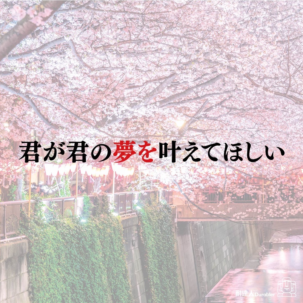 sg-11134201-22090-qmqb80f9t2hv00