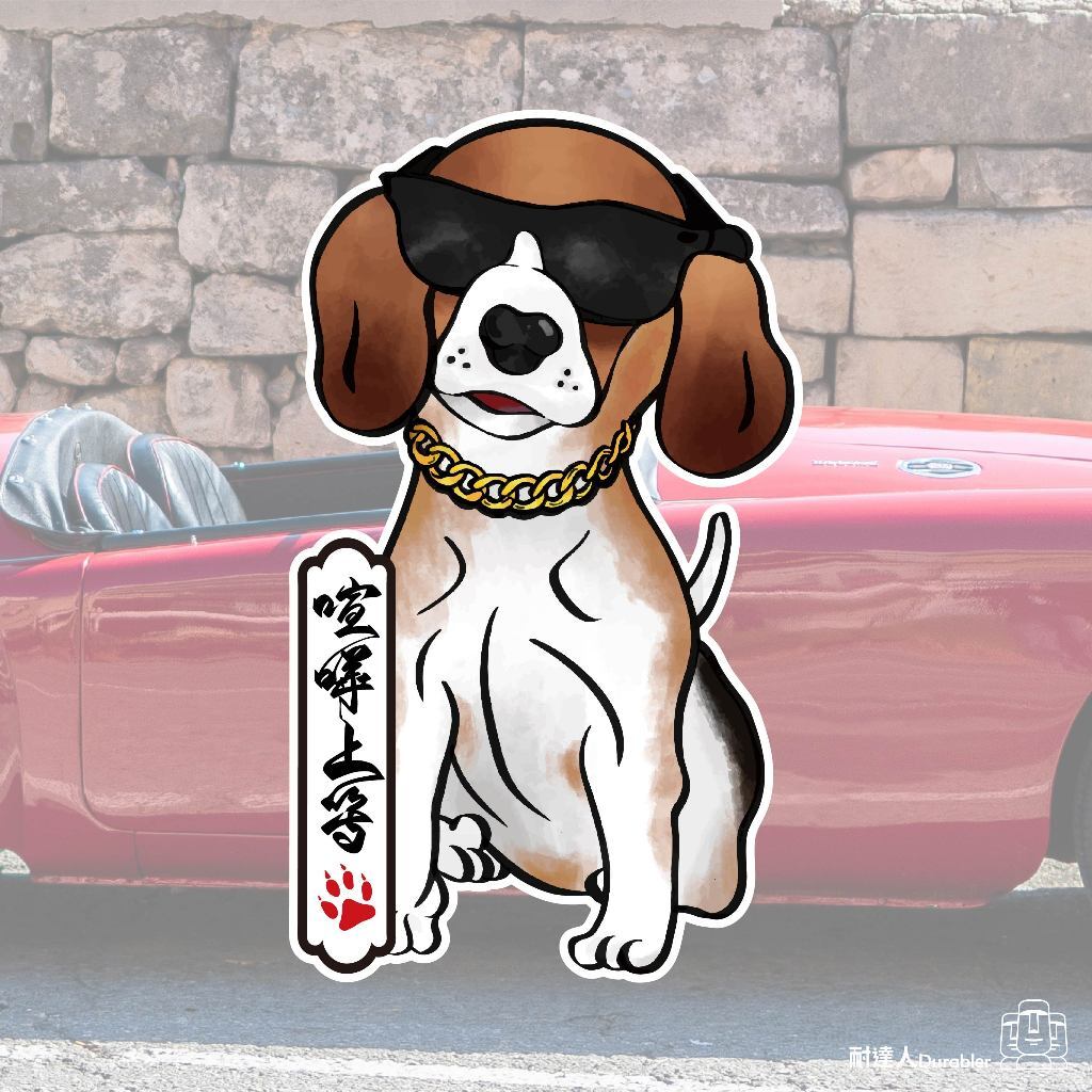 tw-11134207-7r98o-lo5516i1ed1p8e