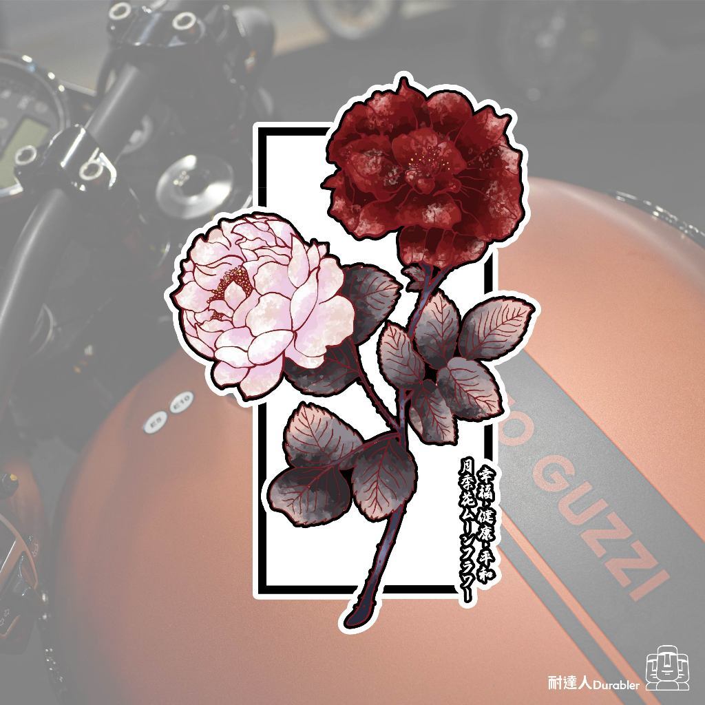 tw-11134207-7r98z-lo54bcgxn682d3