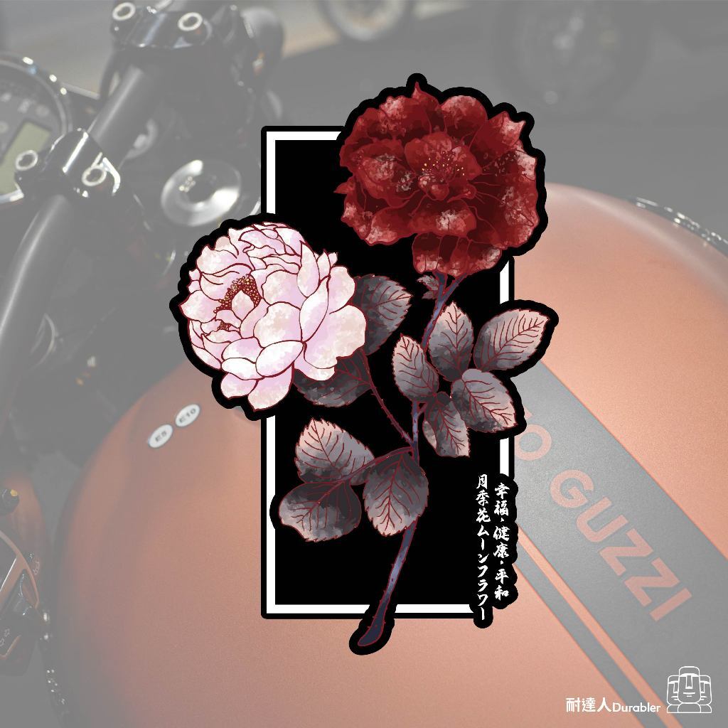 tw-11134207-7r98u-lo524i7982a5a3