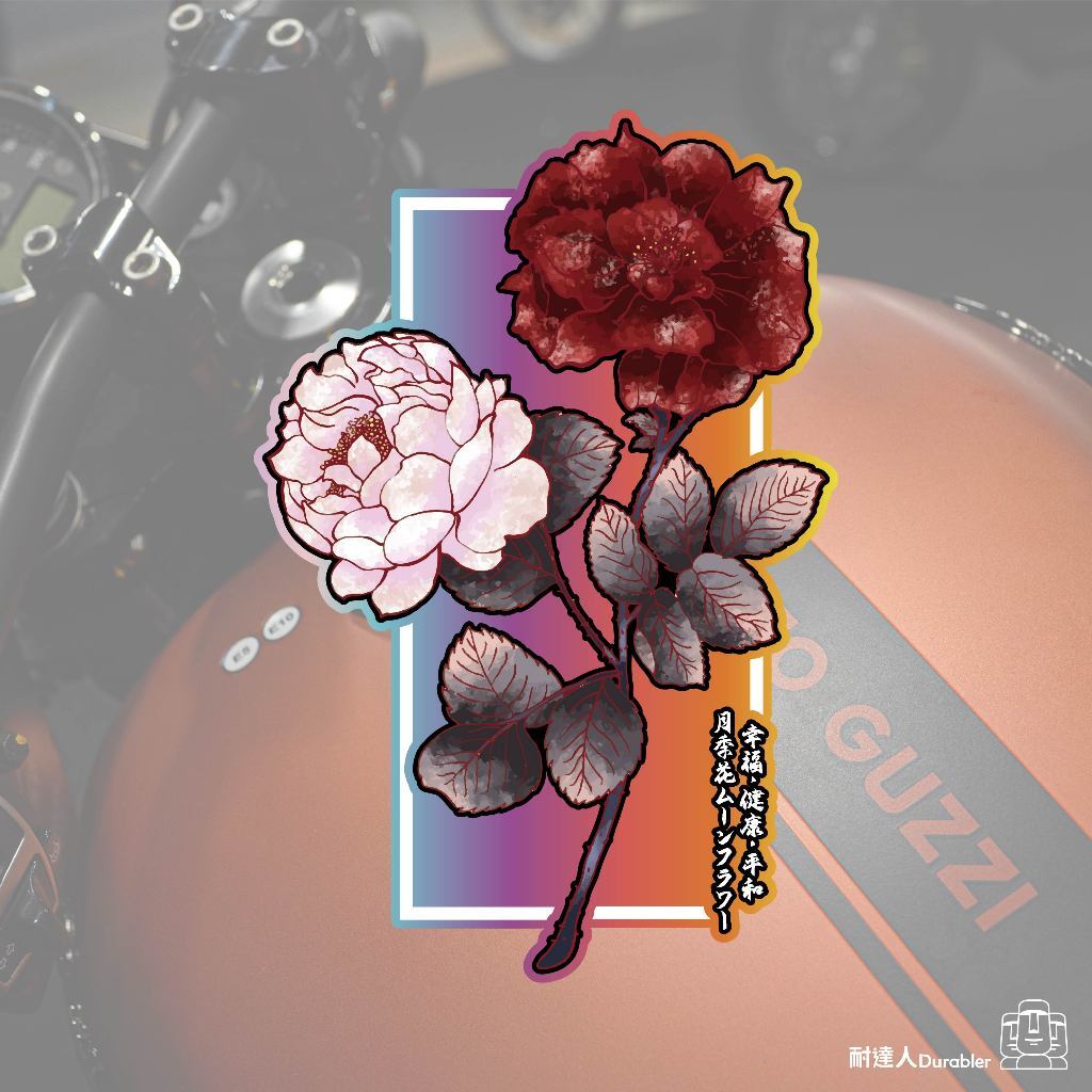 tw-11134207-7r98v-lo54bcgxkd3646