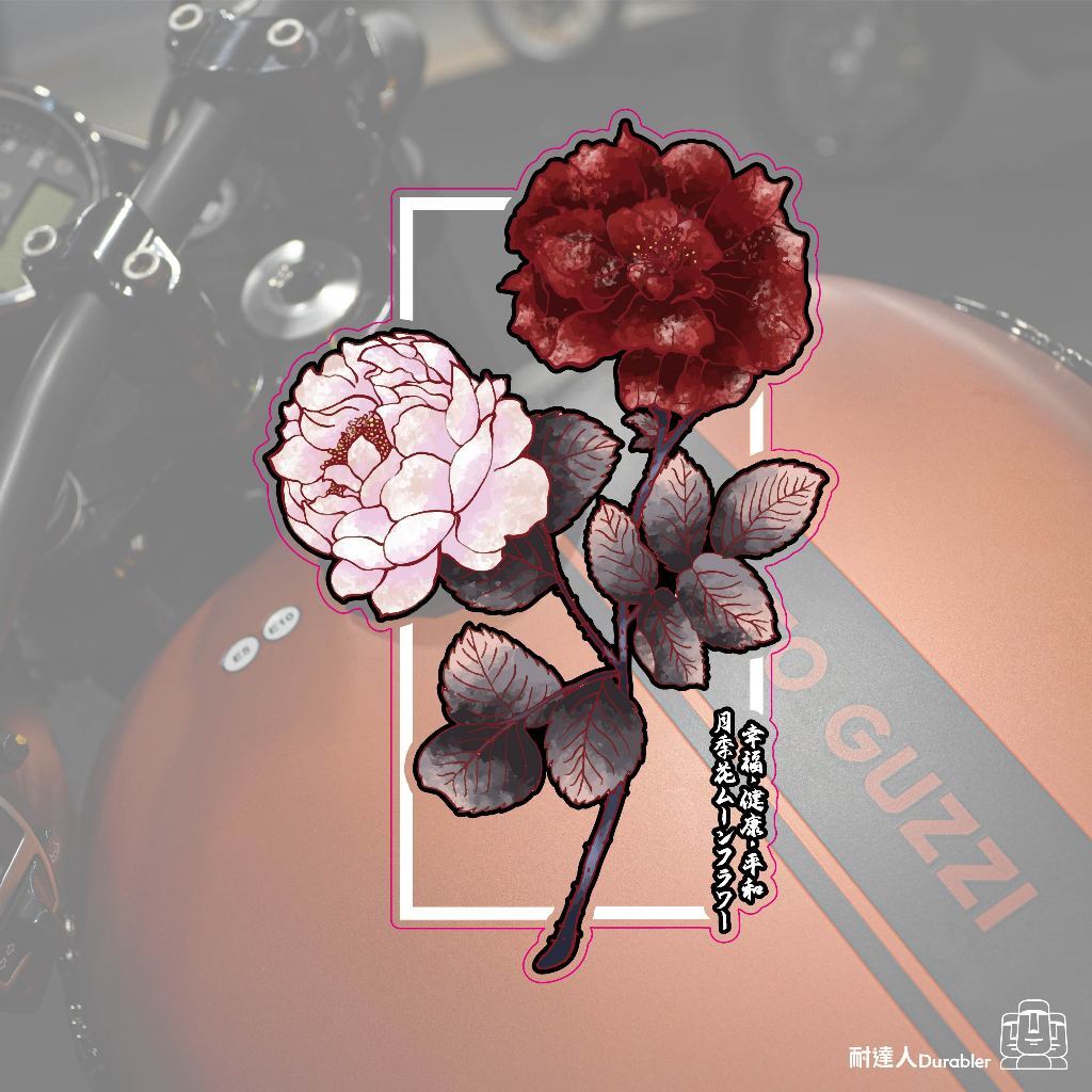 tw-11134207-7r991-lo54bcgxlrnmb8