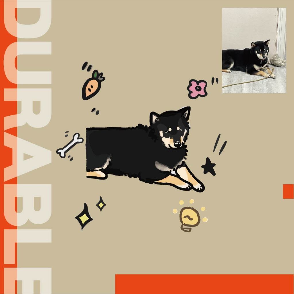 tw-11134207-7rase-m0l7zj2u1az786