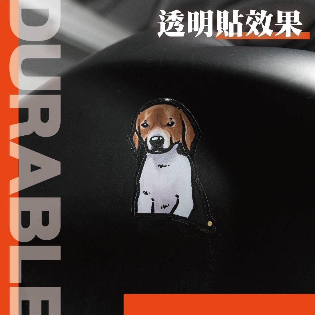 tw-11134207-7rasb-m0l7zj2tzwere0