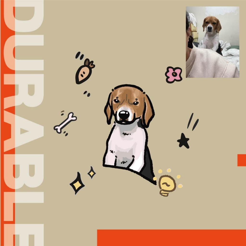 tw-11134207-7rasa-m0l7zj33wo9z0e