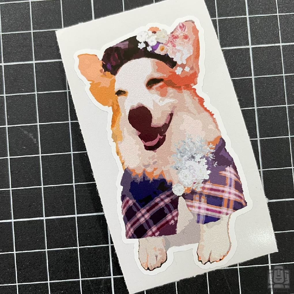 0b9556b1cead28e81c731afe4bc6424c