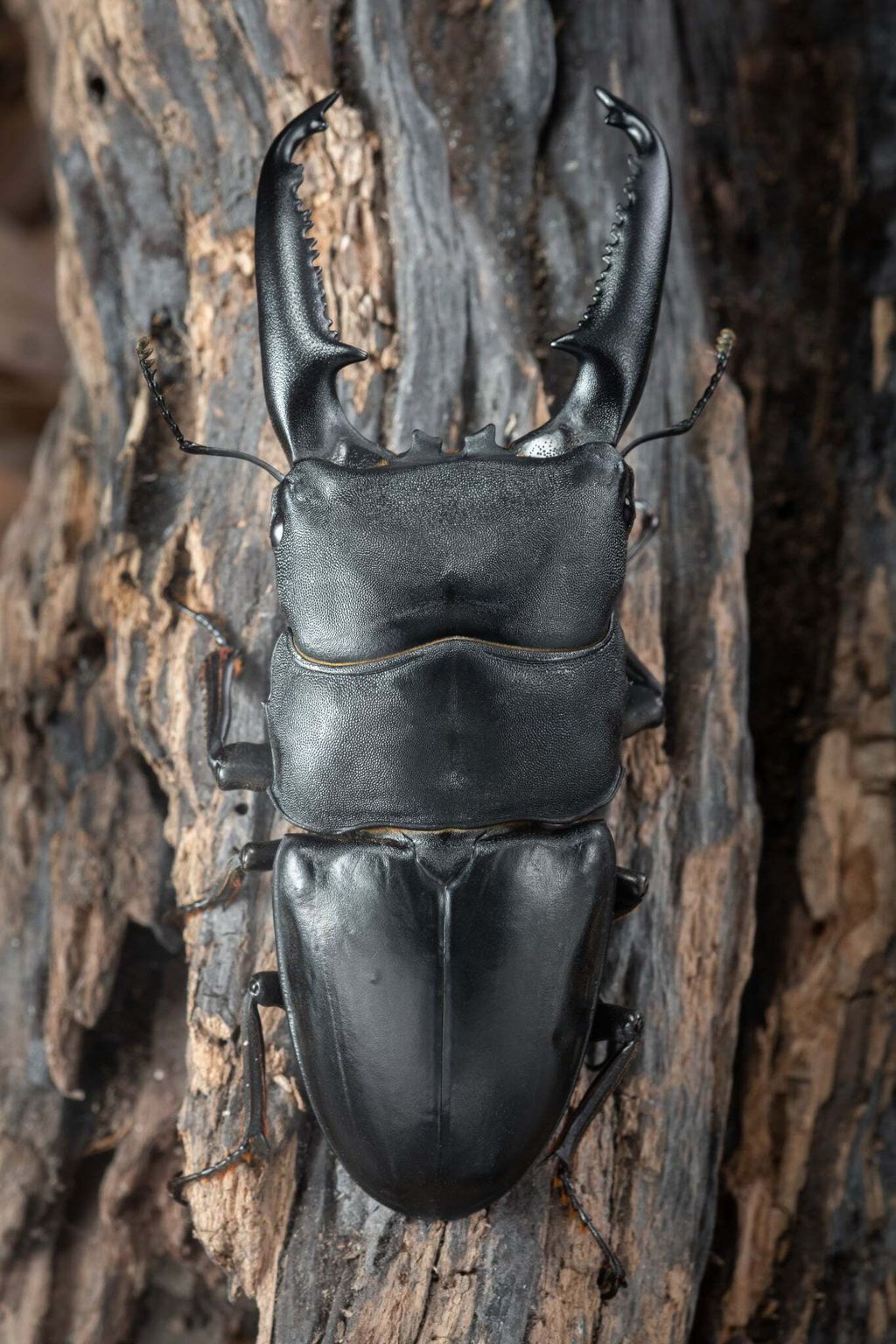 76888e06-89c9-4ef9-a84d-1db302b1139f