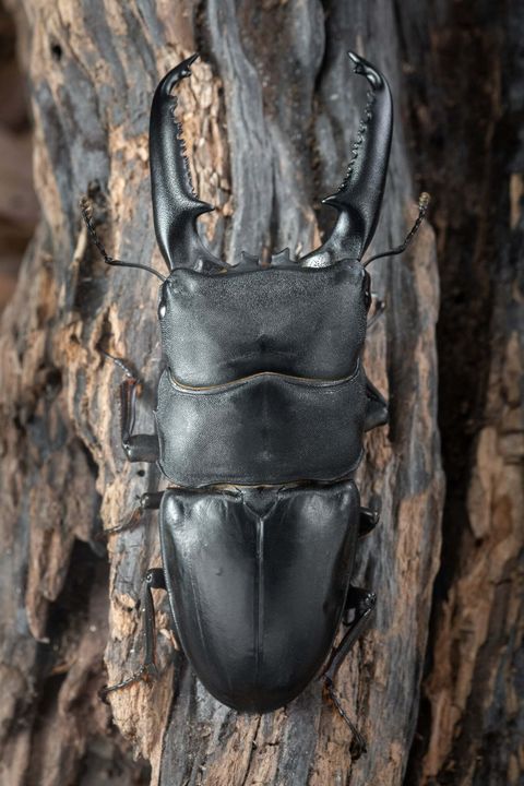 76888e06-89c9-4ef9-a84d-1db302b1139f