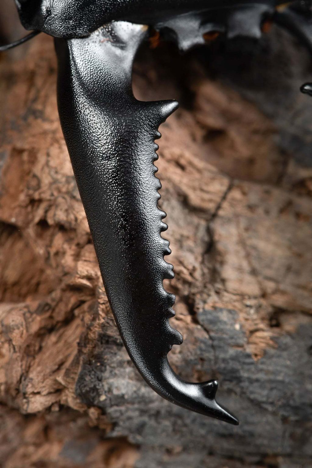 25c33f8e-a277-4c45-80d4-9f2c43157f06