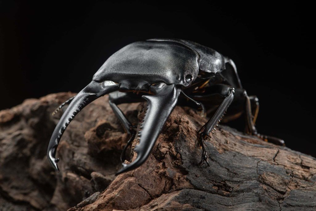 5870e091-4eac-4e43-95d8-452ca6ad0d74