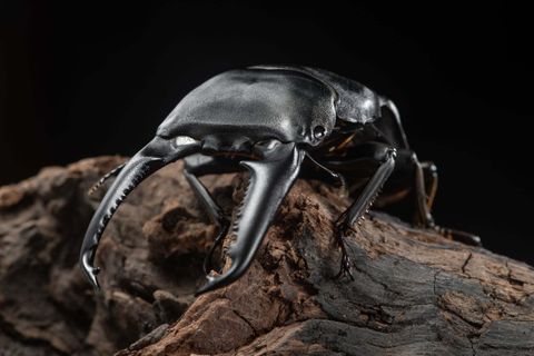 5870e091-4eac-4e43-95d8-452ca6ad0d74