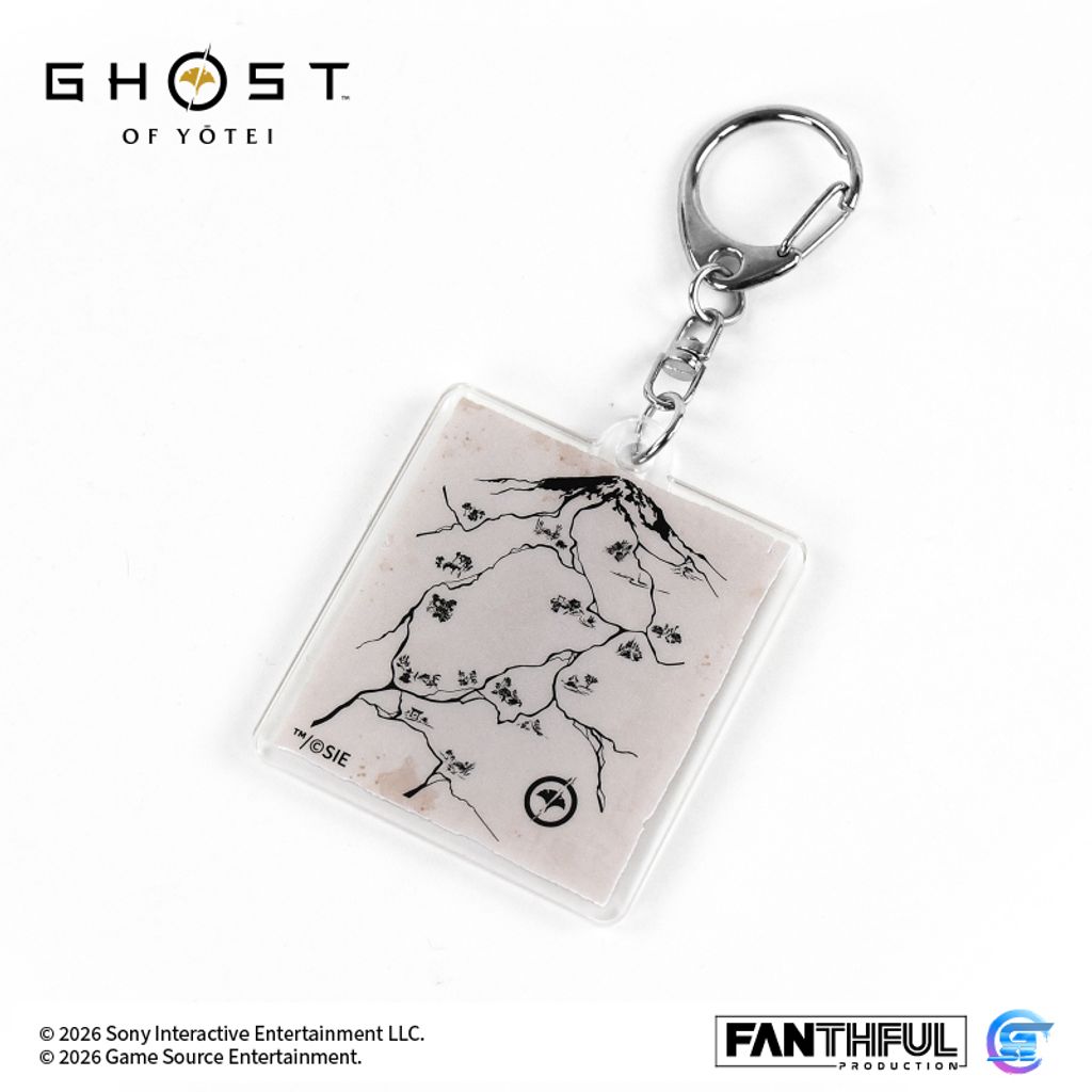Lenticular Acrylic Keychain (5)
