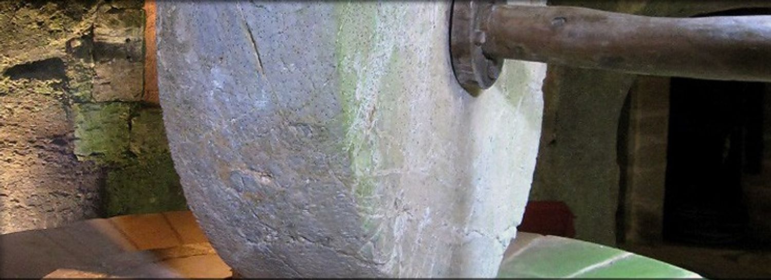 MYLOPOTAMOS GREEK OLIVE OIL | NEW INSPIRE