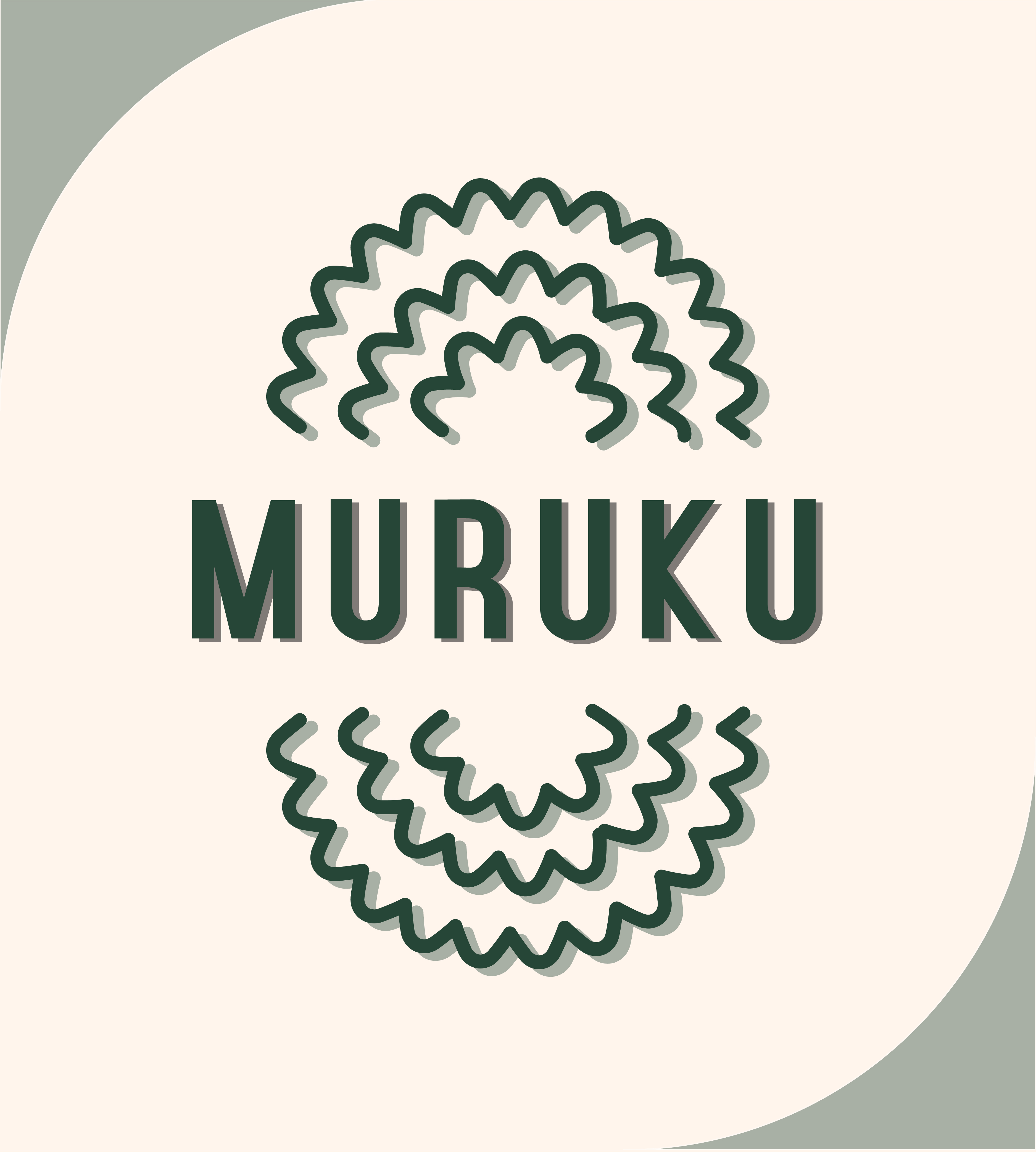 Muruku / Chips