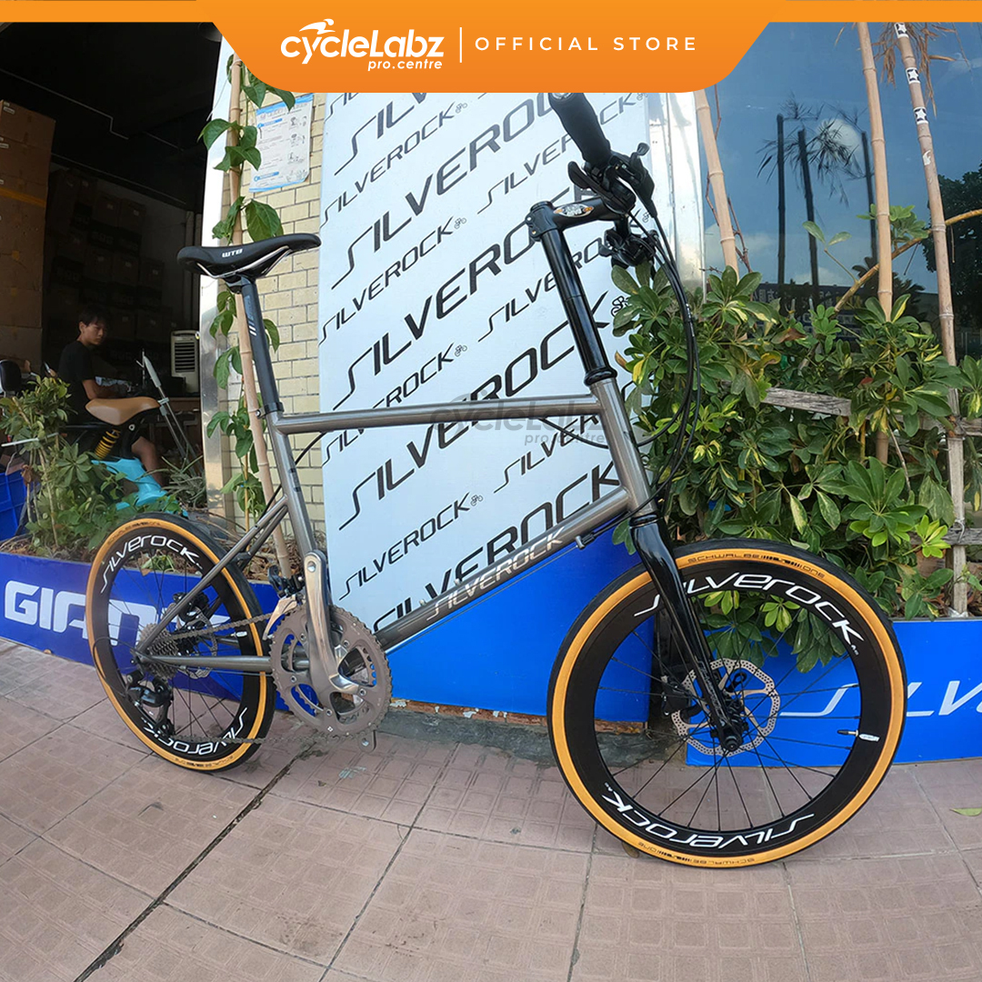 0880-SILVEROCK-FRAME-SR-STEAM-CARBONE-6