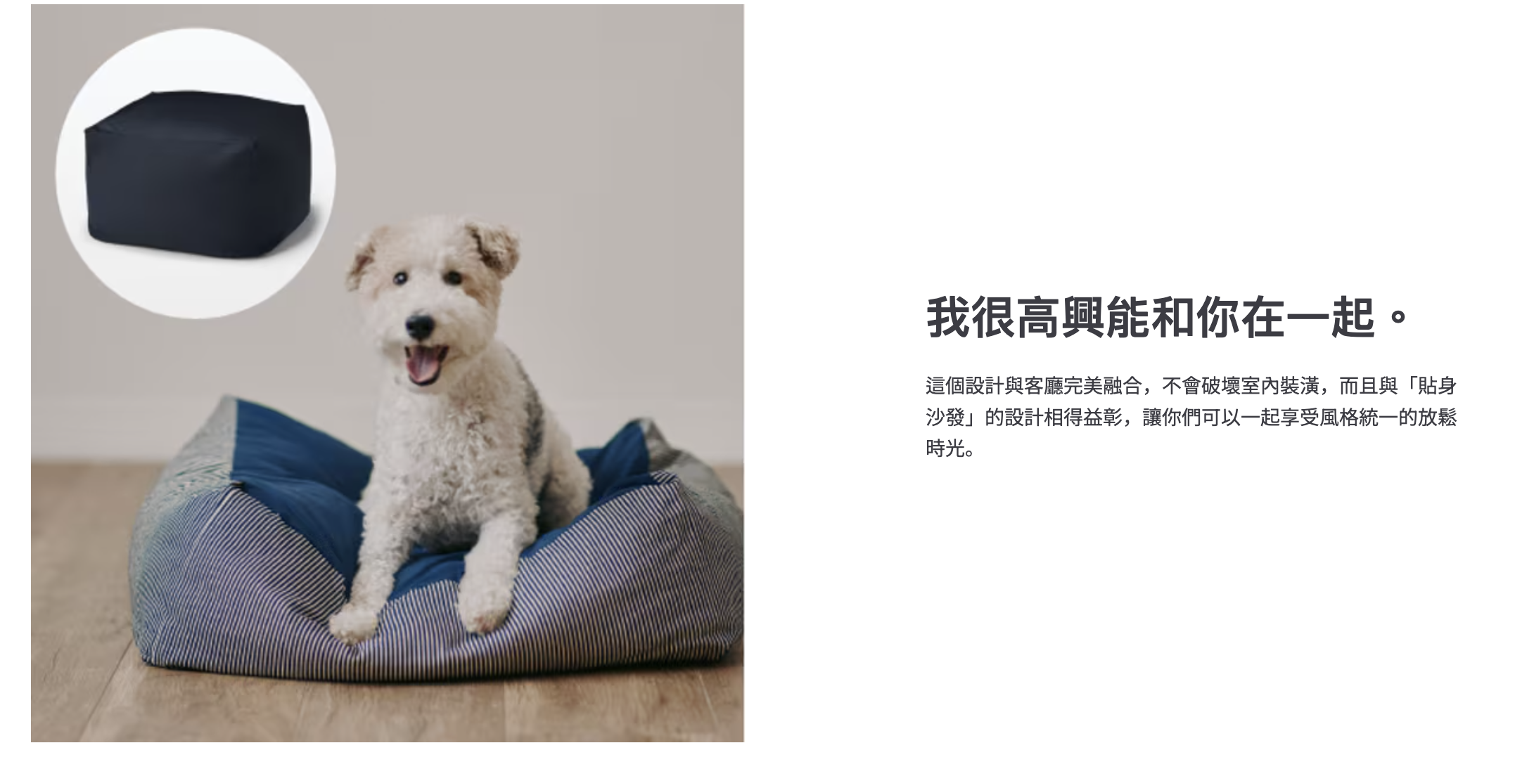 截圖 2026-02-23 晚上9.50.35