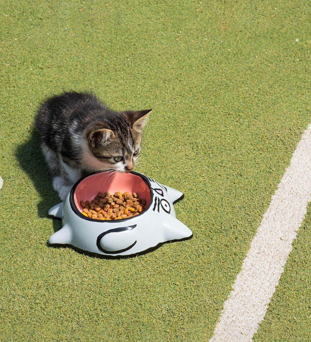 截圖 2025-12-13 晚上10.42.41