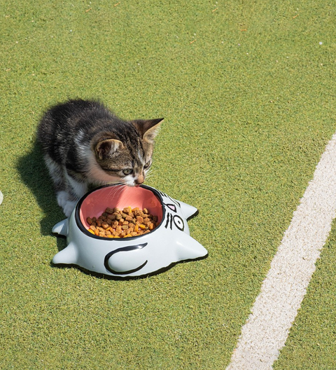 截圖 2025-12-13 晚上10.42.41