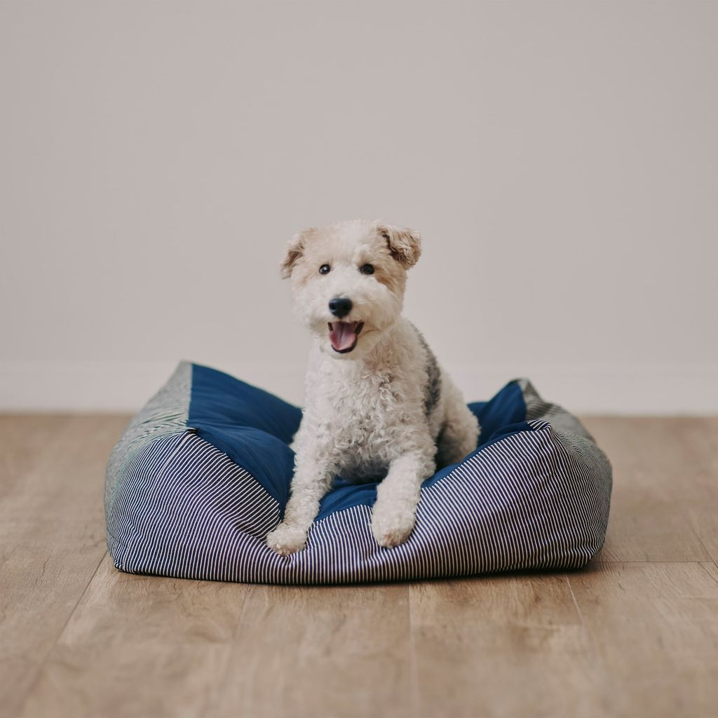 4550584423024_03_org