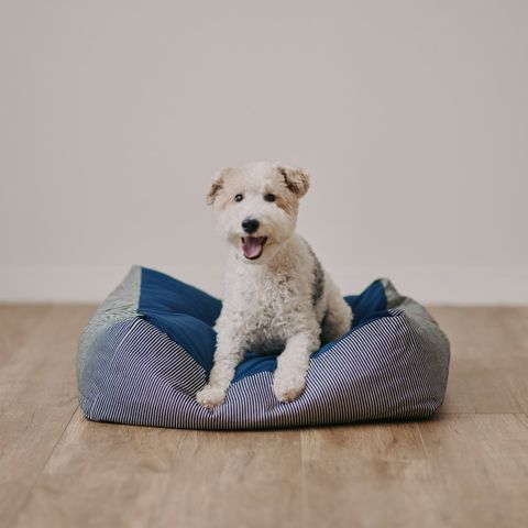 4550584423024_03_org