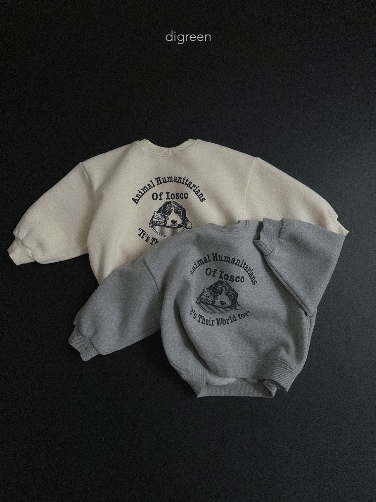 55764b1a1ed7beb8db538de2ebbaa6b3