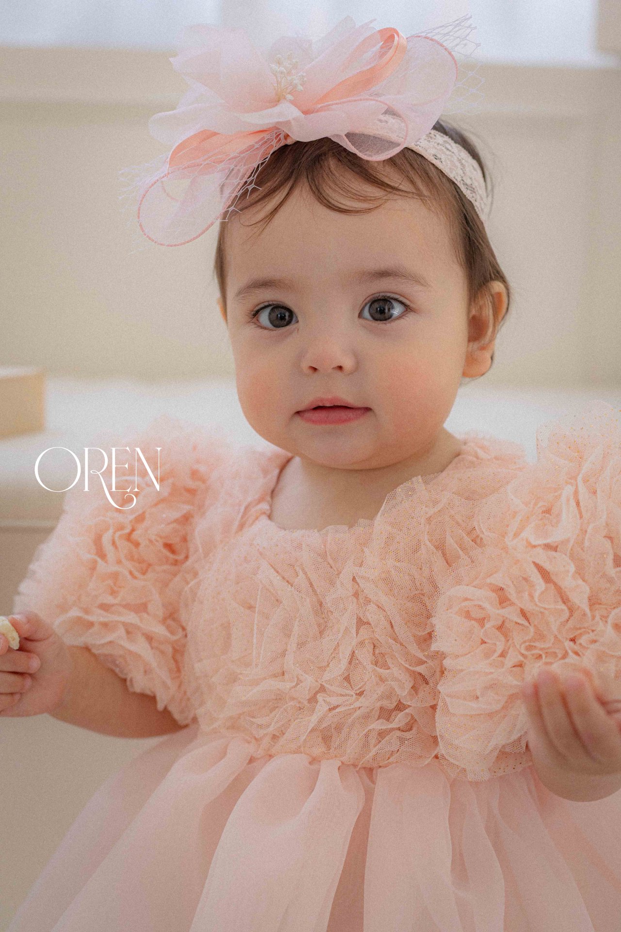 ba17f02abf106b8a16a75be2c8d83055