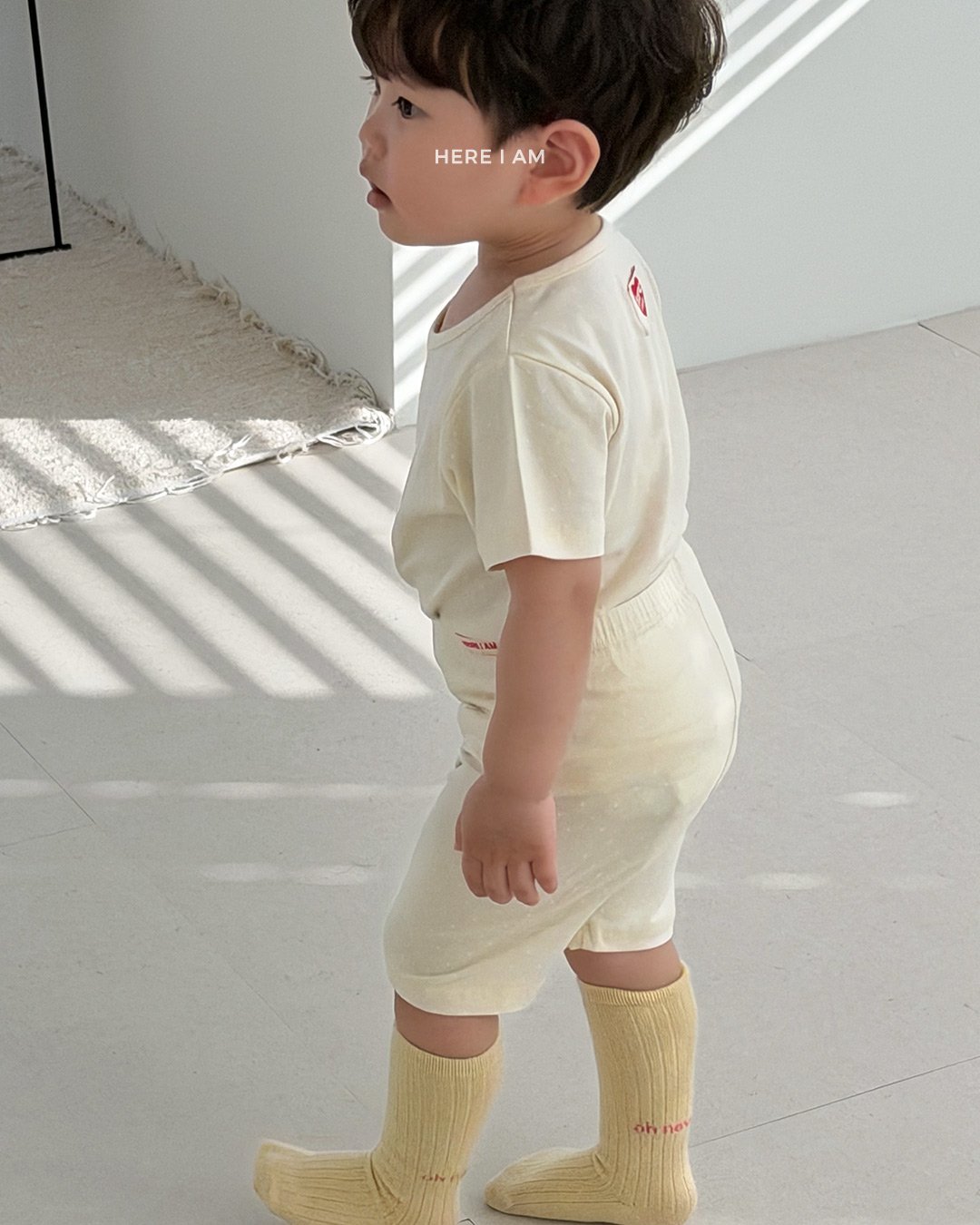 224791372jdcddc6fa01fbf55ef4fe44