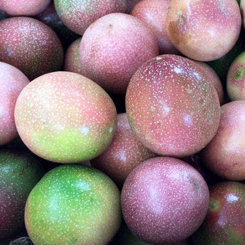 PASSION-FRUIT-2.jpg