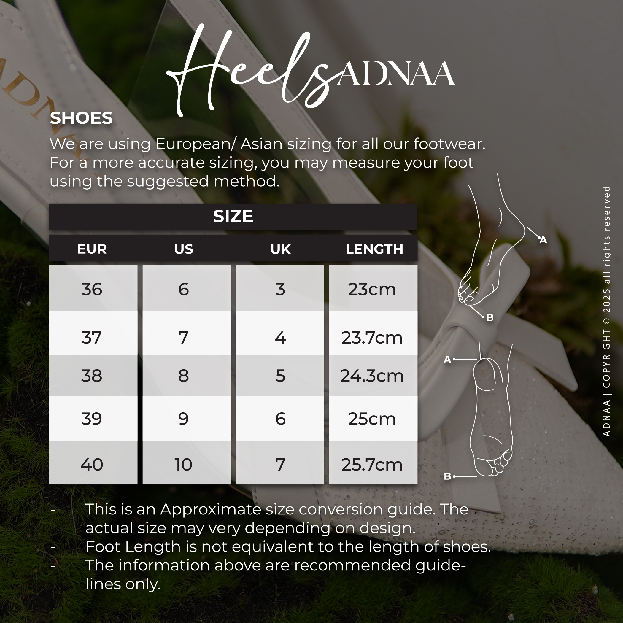 LINA SIZE