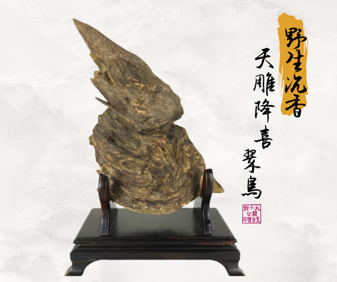 野生沉香天雕降喜 翠鳥