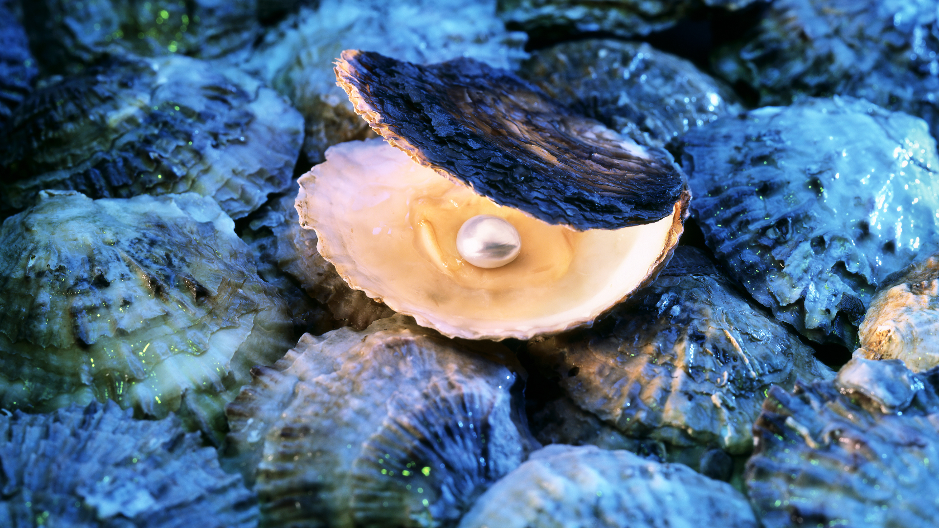 artorias pearls collection jewellery jewelry silver  (13)
