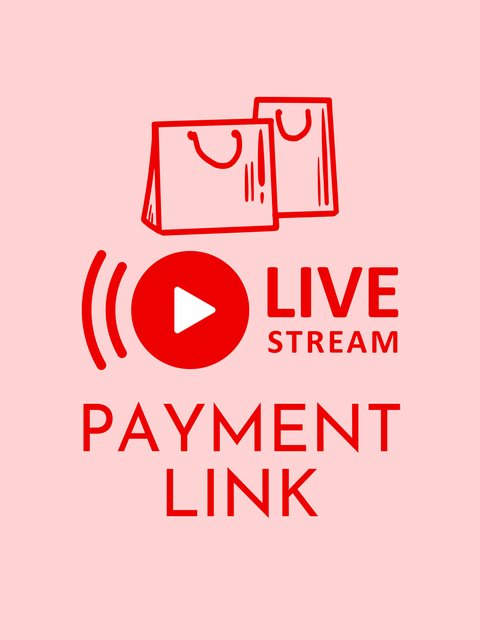 live payment link visuals (1)