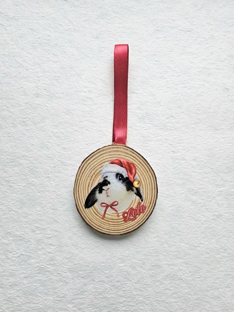 WhatsApp Image 2025-11-23 at 7.50.00 PM