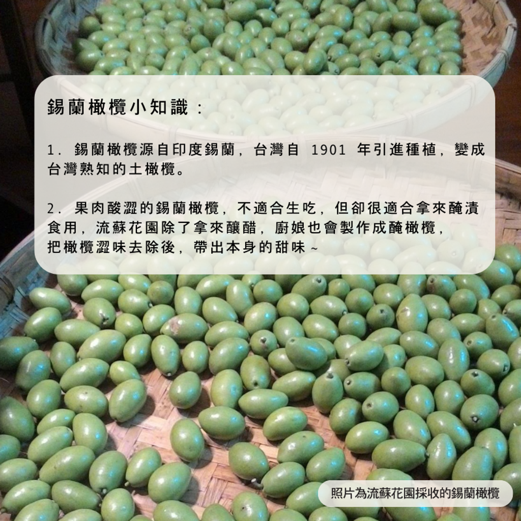 流蘇花園橄欖醋3小農作釀造陳年醋
