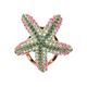 SCB215E ❀ No. 1 ❀ Erinite Chrysolite Lt. Rose ( Peridot AB )
