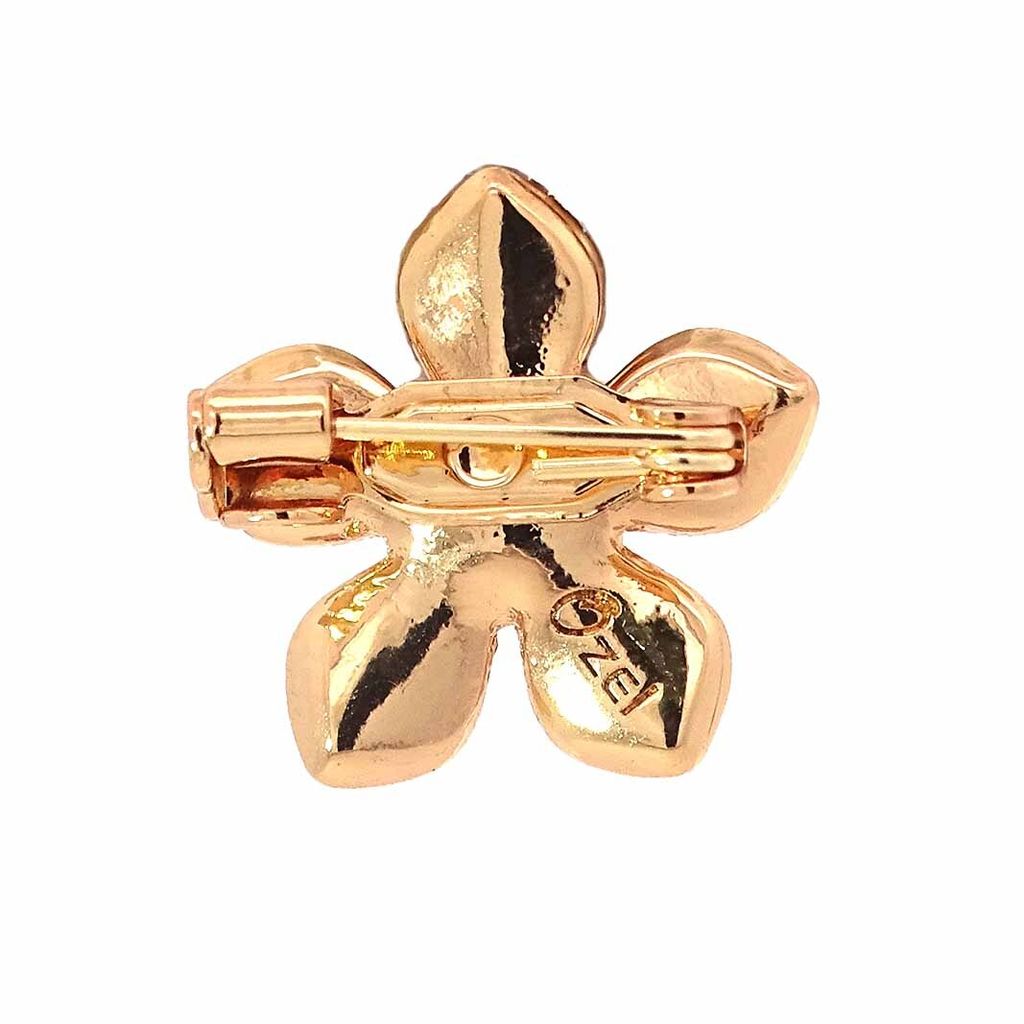 G66077_back