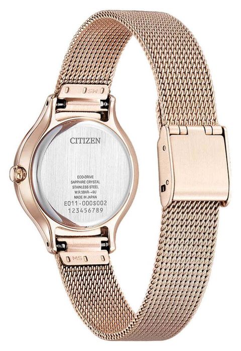 EW2638-56Z_Back(1)