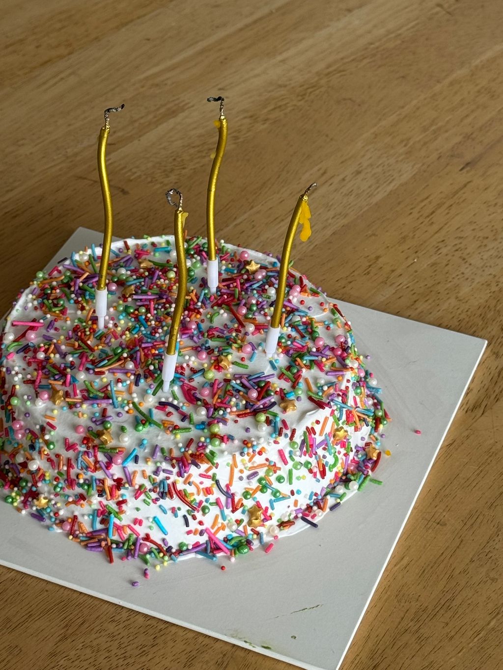 image_99F530F7-A4EB-468D-A562-C9B5000826B9_1768817659