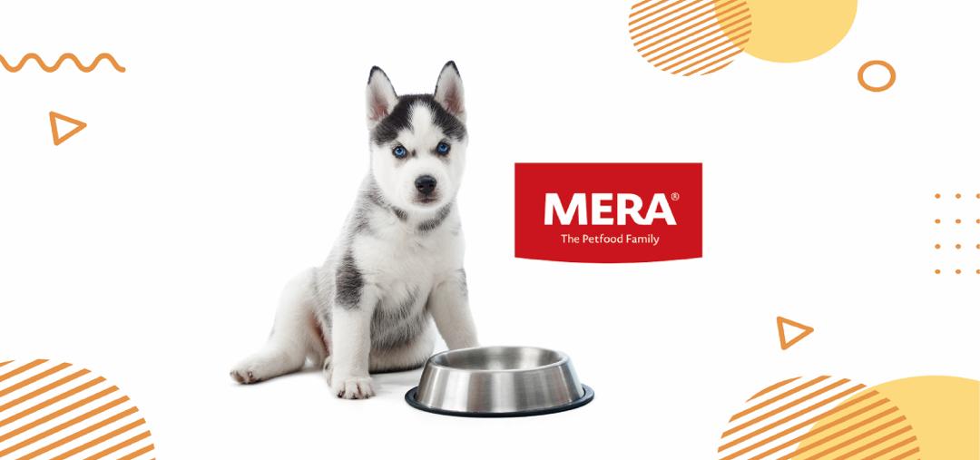 Mera-Banner.jpeg