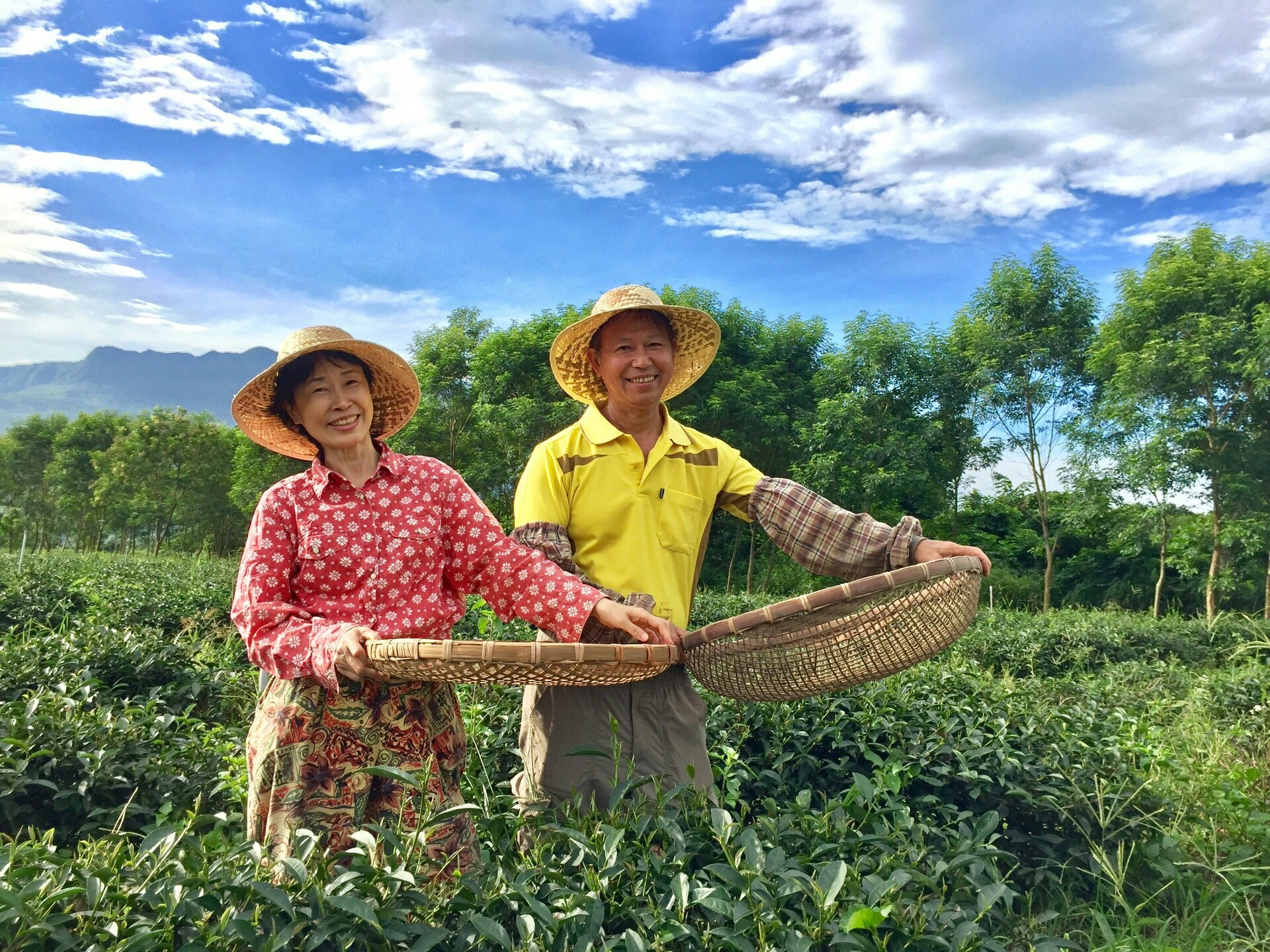 東東市-女兒不懂茶 創辦&負責人2.jpg